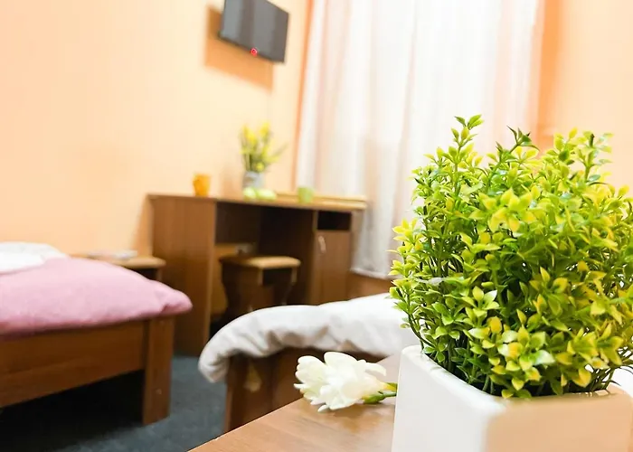 Mini Hotel Near Arena City